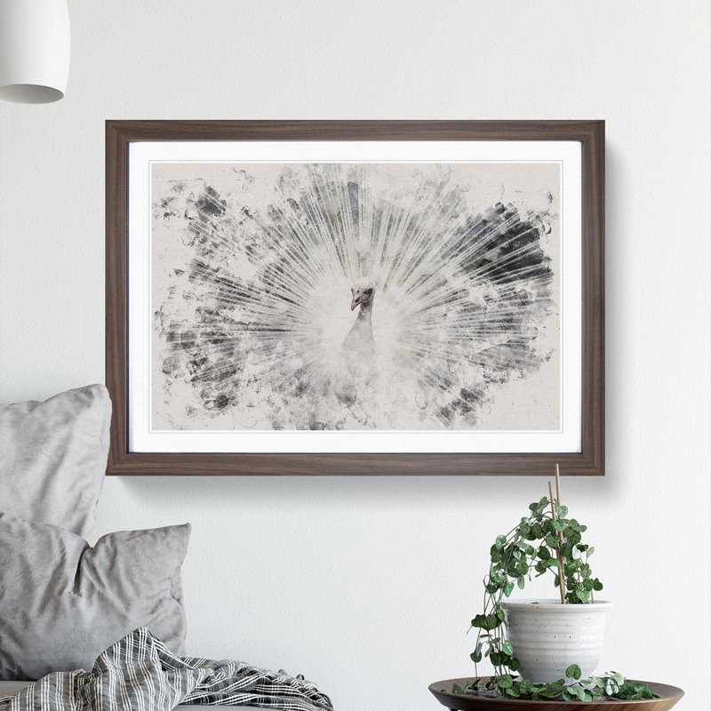 White Peacock - Picture Frame Graphic Art, Walnut Framed, 27cm H x 36cm W x 2cm D