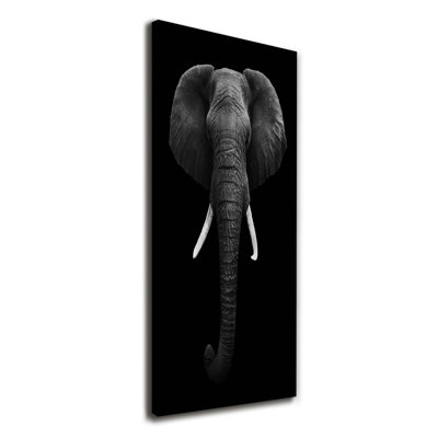 African Elephant - Wrapped Canvas Print