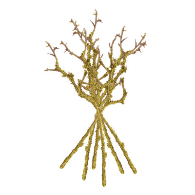 LICHEN BRANCHES 17 ", ENSEMBLE DE 6
