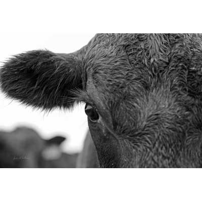 Andreco " On The Ranch V " by Andre Eichman