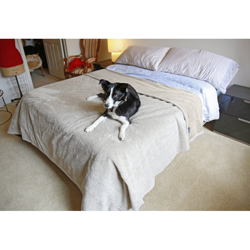 Couverture imperméable pour chiens Catalonia, L 80 po x L 90 po, Brun clair/taupe