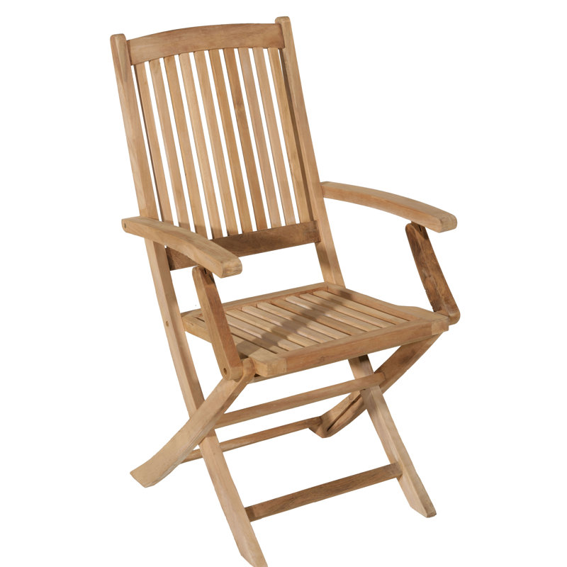 Woehler Folding Patio Dining Side Chair with Cushion