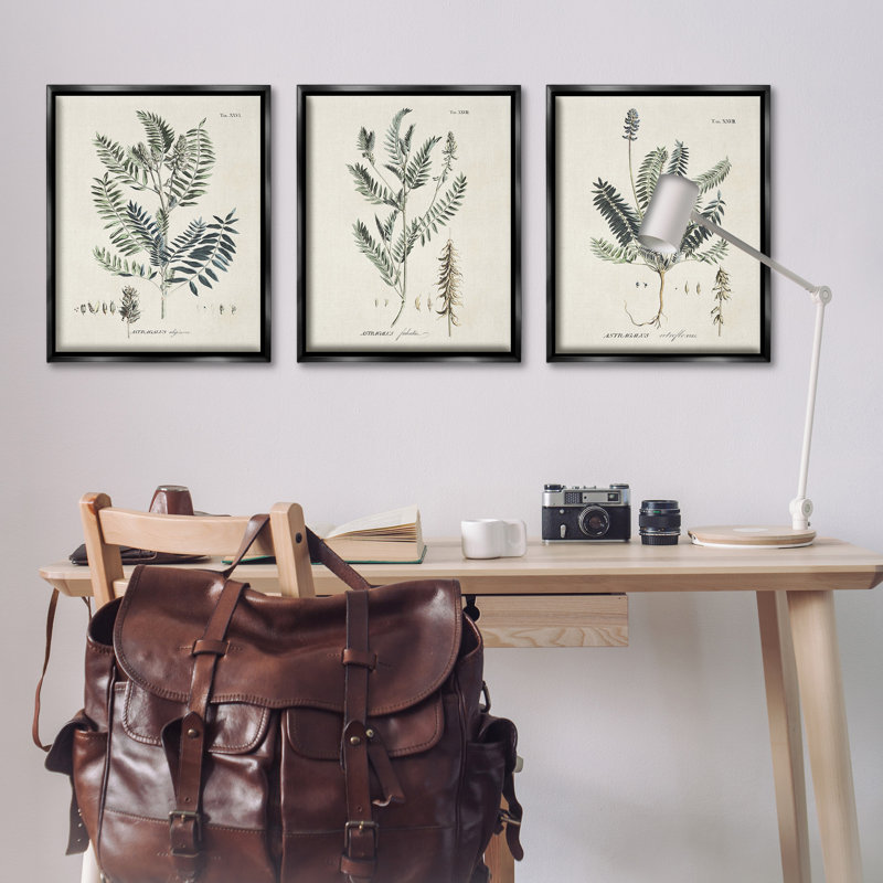 Ensemble de 3 toiles flottantes encadrées Green Botanical, Cadre flottant noir de jais, H 31 po x l 25 po