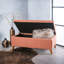 Home Decor, banc de repose-pieds capitonné avec couvercle à charnière Ainsley, banc de repose-pieds avec rangement pour le salon et la chambre à coucher, pieds en bois massif-1431264699