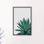 « agave cactus »-impression photographie-49905641-49905614
