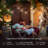 Ambience Pro 27 ft. Solar Outdoor Patio LED String Lights with 12 Warm White S14 Bulbs, 15 Hanging Hooks Included, Weatherproof