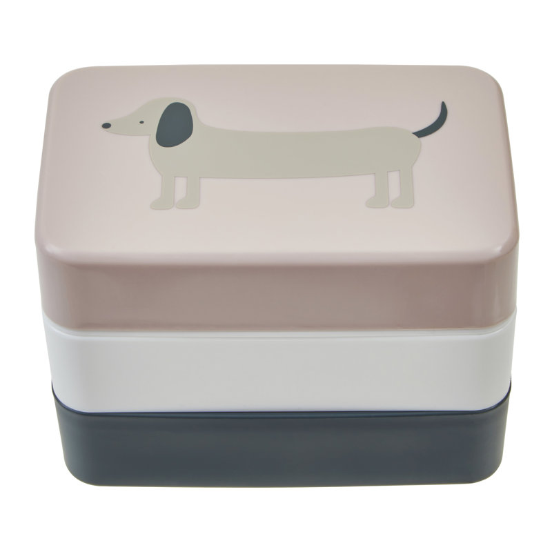 Dajun Food Storage Container