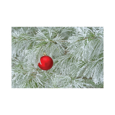 Red Ornament and Rime Frost 1 Piece Wall Art on Canvas