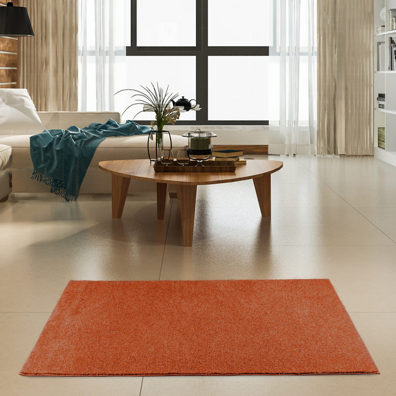 Ensemble de tapis intérieur / extérieur en polyester touffeté à la machine Stankiewicz, Rectangle 1 pi 6 po x 2 pi 3 po