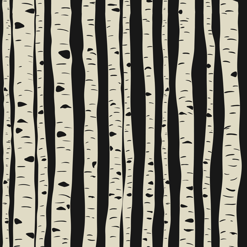 Birches In Vector by Nikitinaolga - Wrapped Canvas Print, 30cm H x 30cm W