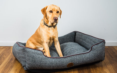 Archie & Oscar Grey TWEED Pet Bed