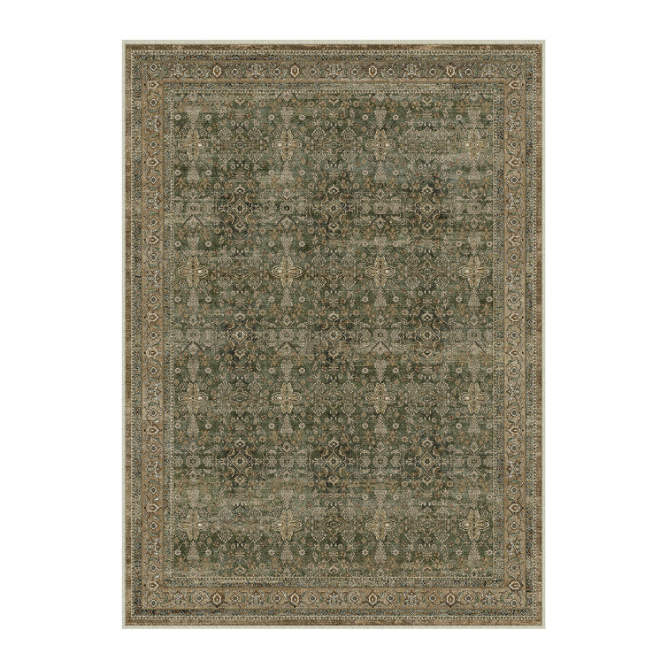 Kellems Vintage Machine Washable Area Rugs For Living Room With Non-Slip Backing