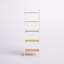 Bibliothèque échelle en acier inoxydable Jashaun H 67,7 "x l 22"