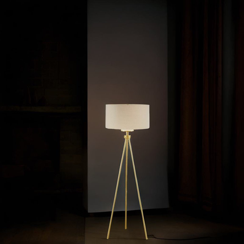 Xade 66.5'' Tripod Floor Lamp