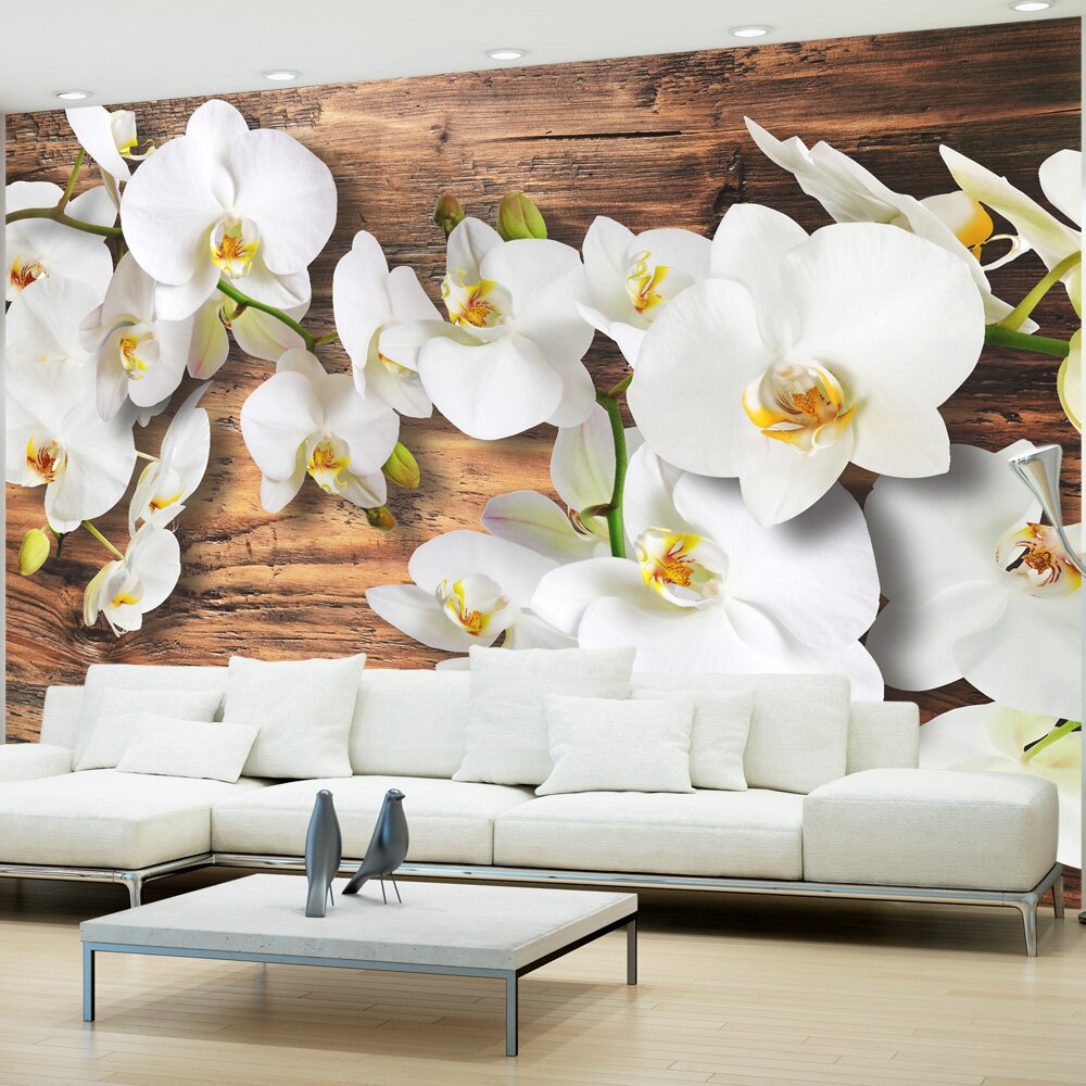 Fototapete Schwielige Orchideen II 245 cm x 350 cm