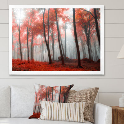 «Foggy Morning Red Forest», reproduction d'art sur toile traditionnelle