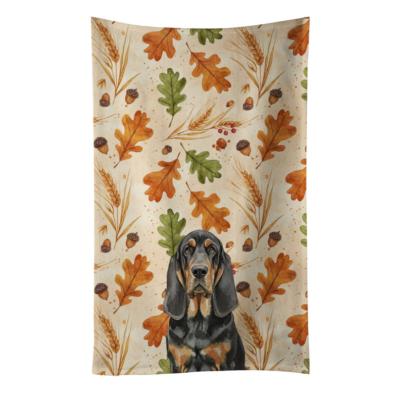 Torchon noir et brun clair, Black and Tan Bloodhound