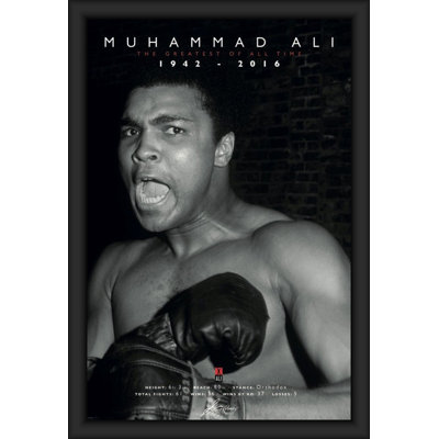 Muhammad Ali - Commemorative Framed Poster - 24x36 Inch - Engineered Wood Frame with Plexi Glass