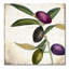 "Jadaya Olive Branch II" par Color Bakery, reproduction d'art sur toile tendue-20567763