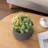 Indoor 8-Inch Concrete Flower Pot Planter-1077581982