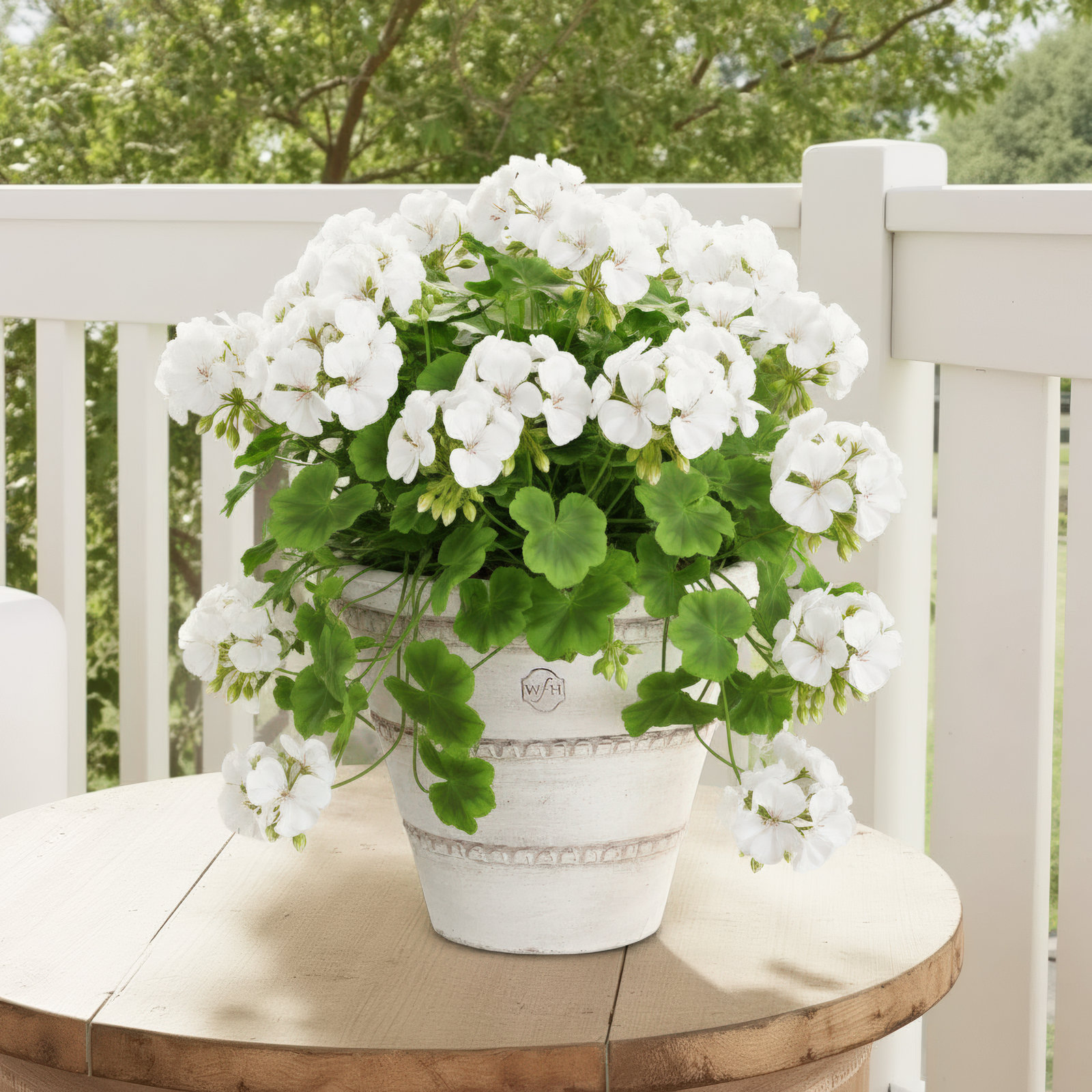Griffith 8" Handmade Pot Planter