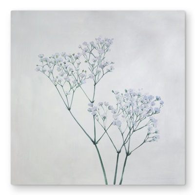 Baby's-breath Flowers Metal Print | Botanical Home Decor