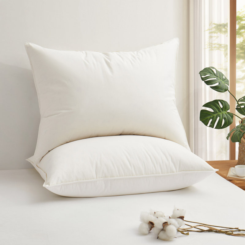  Reversible Pillow Insert, 20"H x 36"W