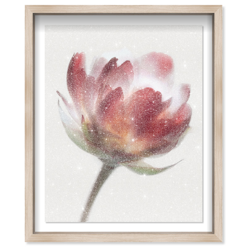 Crimson Core II Shadowbox Abstract Print by Oliver Gal, Black Frame, 16 x 20, 17.5"H x 21.5"W, Natural Oak Shadowbox
