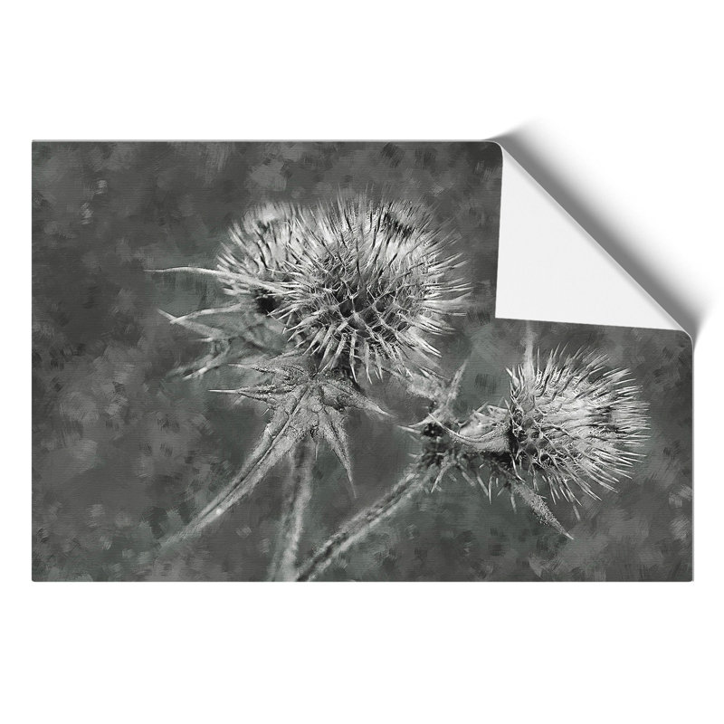 Thistle Flower Painting - Frameless Print, 21cm H x 30cm W x 0.1cm D