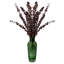 Paire d'arrangements floraux d'eucalyptus préservés dans un vase en verre-12822437
