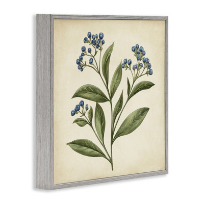 Illustration botanique de bourgeons, estampe numérique, design par Petal Prints Design