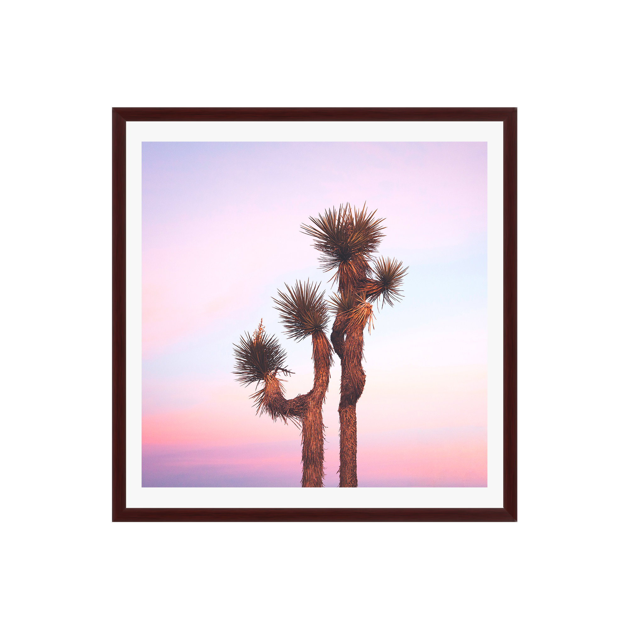 Desert Skies by Catherine McDonald, Gold Single Picture Framed, 12" H x 12" W x 0.75" D, Yes