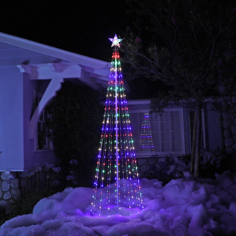 Christmas Tree Lighted Display