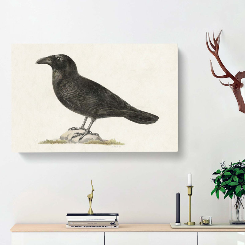 Common Raven by Von Wright - Wrapped Canvas, 40cm H x 60cm W x 3cm D