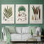 Botanical Society Ferns I, reproduction d'art encadrée sur toile 3 pièces-91890788-91890789
