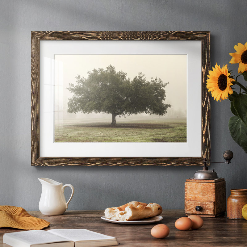 " Trees In The Fog II ", Noyer, H 18 po x l 26 po x P 1,5 po