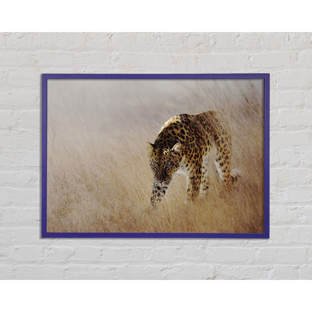 Streifender Leopard Gerahmter Druck Wandkunst