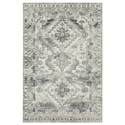 Carie Faded Nomadic Grey/ Ivory Indoor-Outdoor Rug