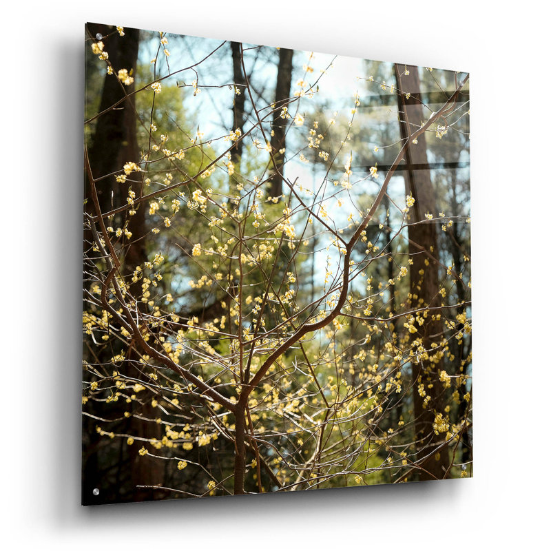 " Spring " by Kelly Sinclair, 36" H x 36" W x 0.2" D