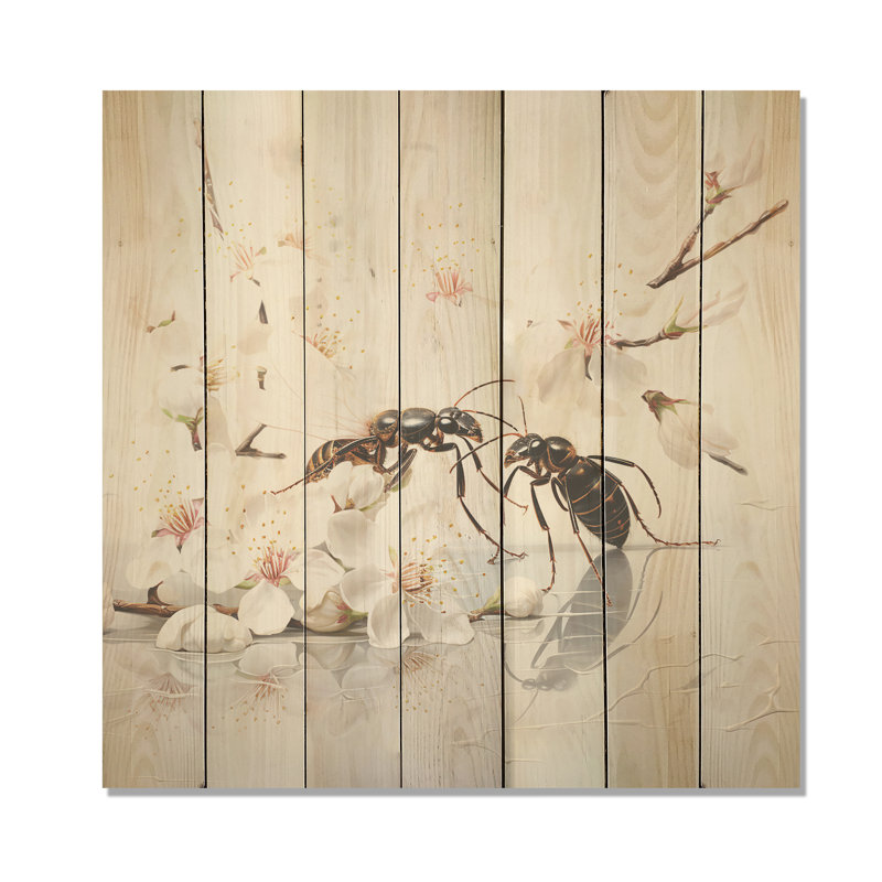 Motif floral de fourmis I - insectes et insectes sur bois, H 25 po x l 25 po