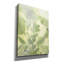  «Beneath The Canopy 1» par Grace Popp, art mural sur toile, 40 po x 54 po