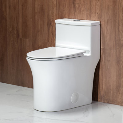 17" Comfort Height Toilet, One Piece Toilet, Elongated Toilet, Soft Close & Quick-Release Seat, Dual Flush, MAP 1000g Powerful Siphon Flush, Compact Fully Skirted, White,