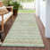 Machine Washable Indoor/Outdoor Claudian ACN1239 Mint Rug