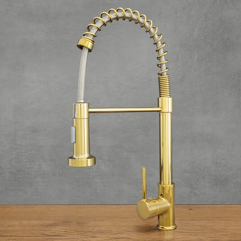 Belfry Kitchen Kitchen Faucet, Gold