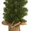 3 arbres de feuillage artificiel dans un ensemble libre