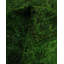 Tapis unique en laine 12 pi 2 po x 17 pi 10 po Rucker