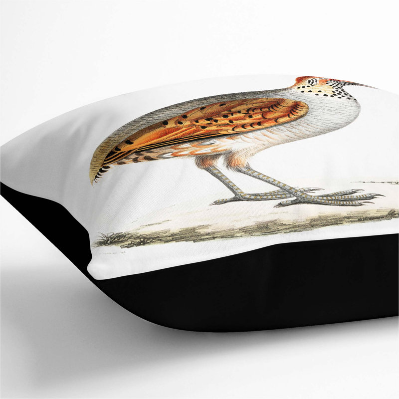 Square Throw Cushion, Black, 40cm H x 40cm W x 15cm D