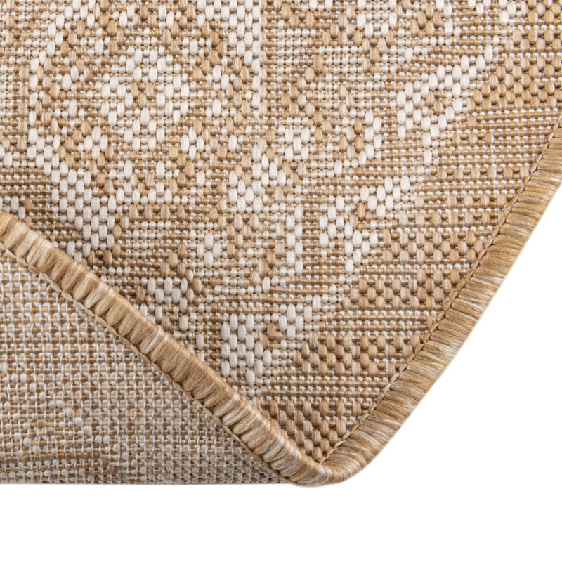 Danera Oriental Indoor / Outdoor Rug, Round 4'