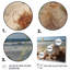 «Beach Photo Seashell Symphony I» sur toile, reproduction de 3 pièces-1415270790