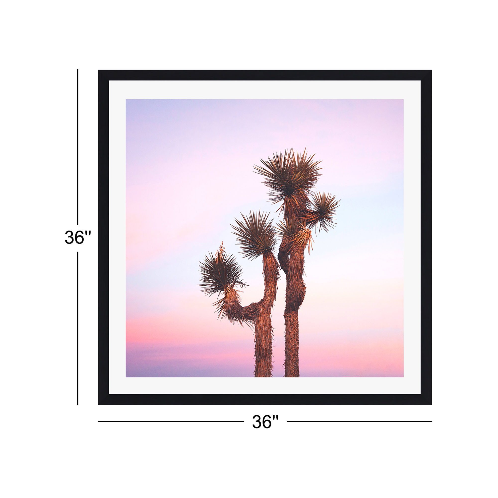 Desert Skies by Catherine McDonald, Black Floater Framed, 36" H x 36" W x 2" D, No